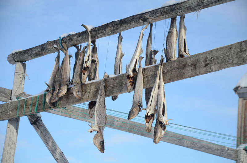 %_tempFileNameGRD_0447%