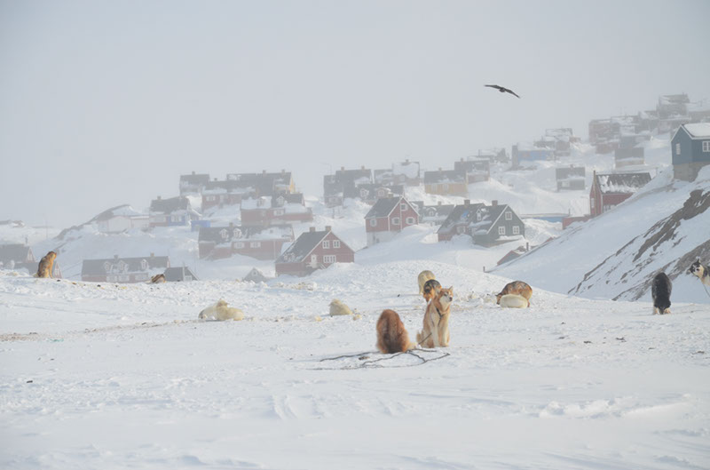 %_tempFileNameGRD_0596%