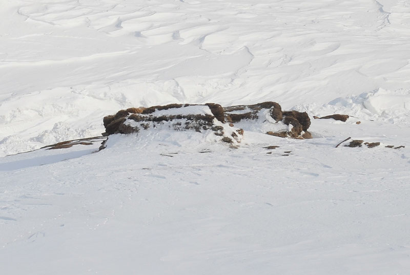 %_tempFileNameGRD_1910%