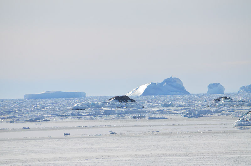 %_tempFileNameGRD_3218%