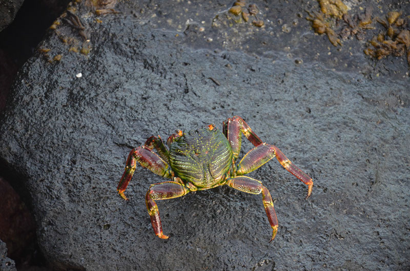 %_tempFileNameC_095%